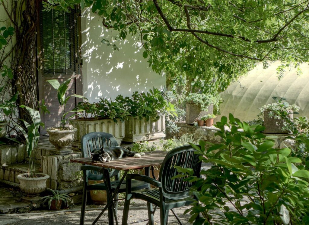 Waarom een tuinarchitect het verschil maakt in jouw tuinproject